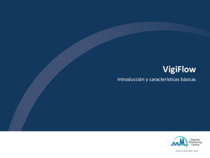 1. Introduccion y caracteristicas basicas de VigiFlow.pdf